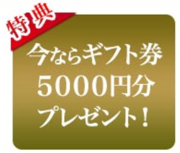 ミラブルギフト券